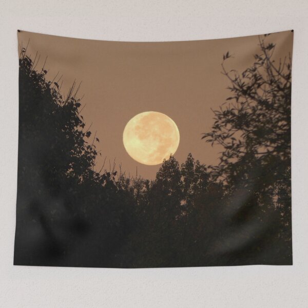 Item preview, Goodbye Full Moon designed and sold by gistinker.