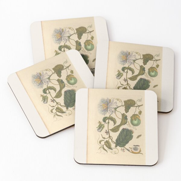 Item preview, Passion Flower and Fruit, Maria Sibylla Merian, Botanical Insect Plate designed and sold by BrightSheetsArt.