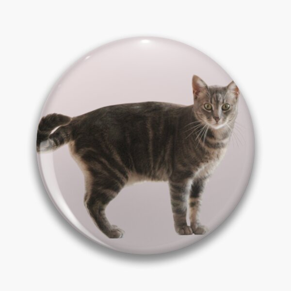 Item preview, From Stray Kitten to House Boss – Rescued Cat Design designed and sold by JustPetMe.