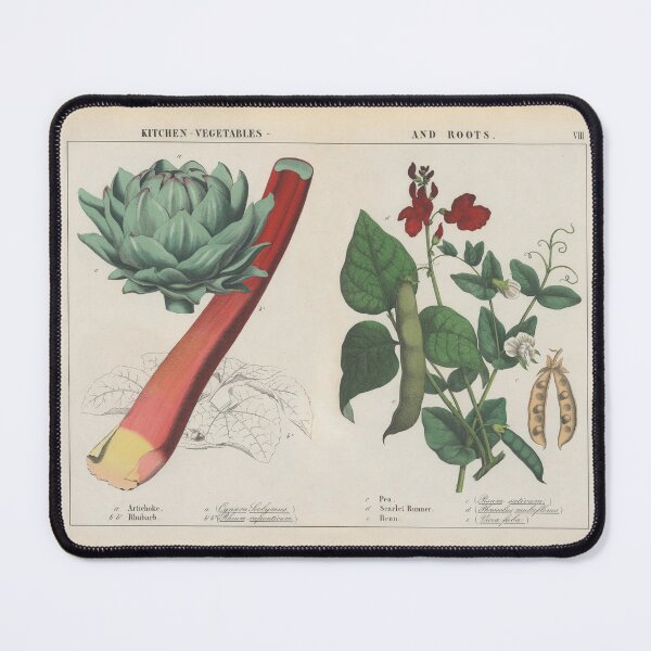 Item preview, Vintage Botanical Kitchen Vegetables designed and sold by newnouveau.