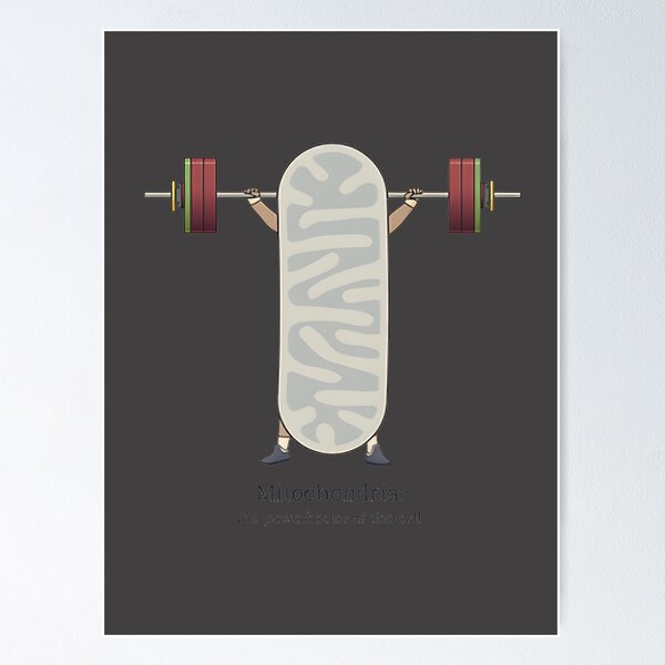 Item preview, Mitochondria Cell Biology Science Illustration Design designed and sold by AYMANShob.