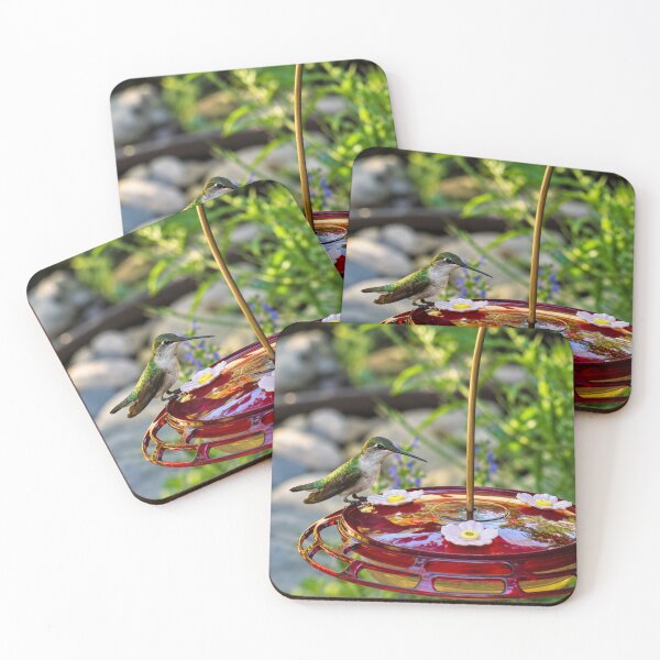 Item preview, Hummingbird Resting on a Red Feeder designed and sold by Astute-Artio-Photography.