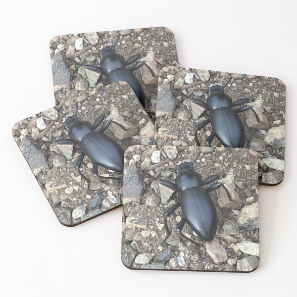 Item preview, Black beetle designed and sold by FABric Photos.