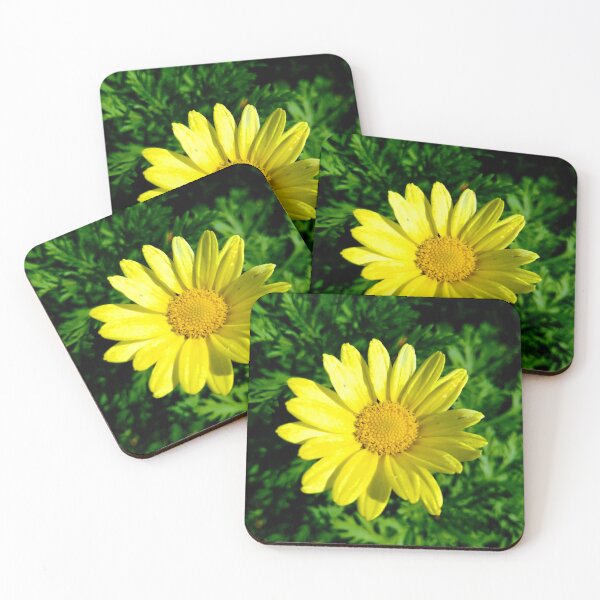 Item preview, Yellow Daisy Macro Photography designed and sold by Tunjereza.