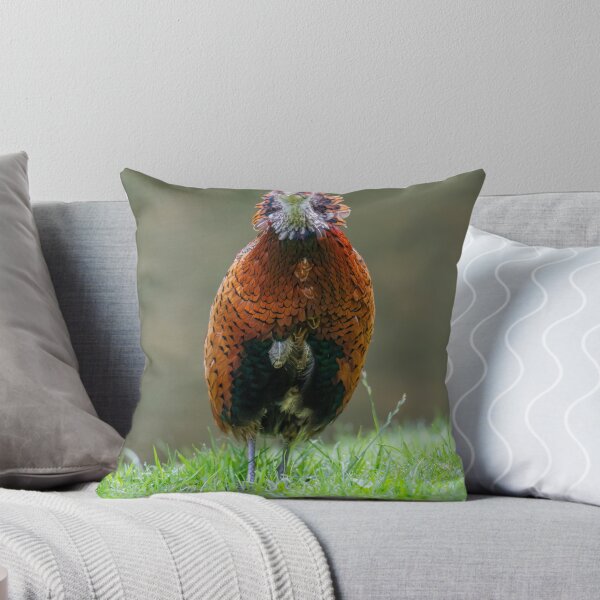 Item preview, Male ring necked pheasant (Phasianus colchicus)   designed and sold by Stephen Jarman.