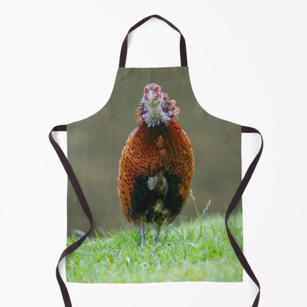 Item preview, Male ring necked pheasant (Phasianus colchicus) designed and sold by Stephen Jarman.