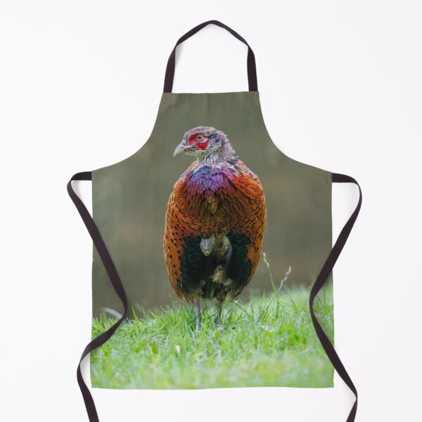 Item preview, Male ring necked pheasant (Phasianus colchicus) designed and sold by Stephen Jarman.