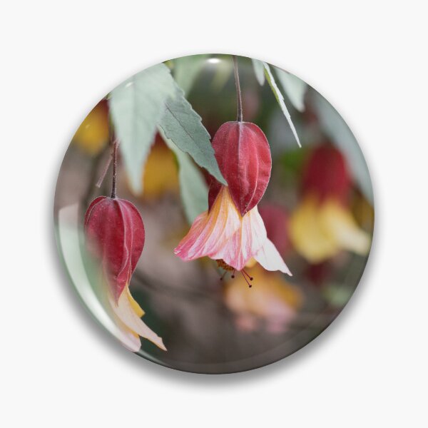 Item preview, Chinese lantern flower designed and sold by ARobPhotography.