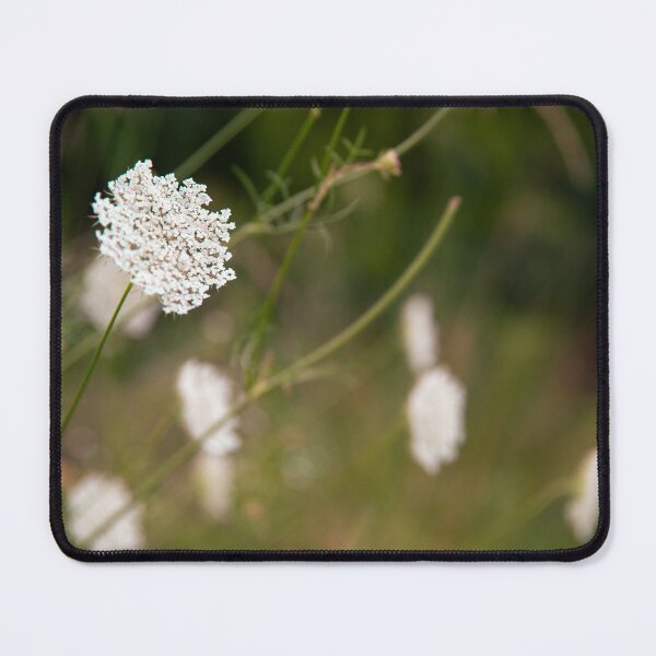 Item preview, Queen Ann's Lace designed and sold by ARobPhotography.
