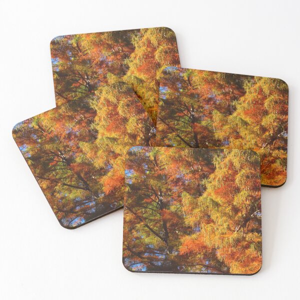 Item preview, cypress designed and sold by AliceThornePhotography.