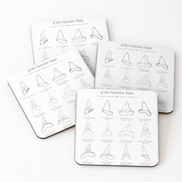 Item preview, Fossil Shark Teeth of New Jersey Vintage Chart designed and sold by sustainableme.