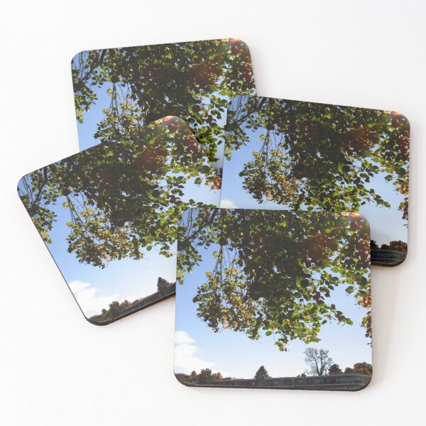 Item preview, look designed and sold by AliceThornePhotography.