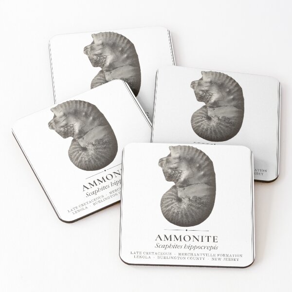 Item preview, Ammonite Fossil Vintage Specimen Label, New Jersey designed and sold by sustainableme.
