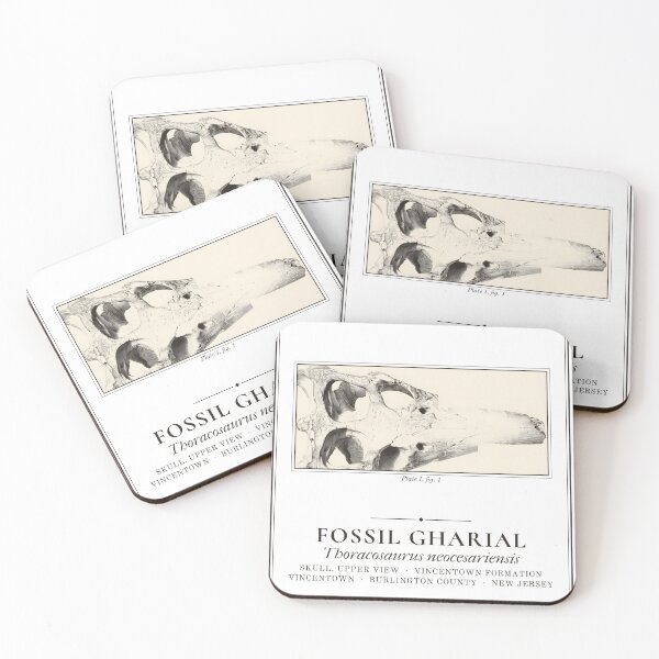 Item preview, Fossil Gharial Skull Vintage Label, New Jersey designed and sold by sustainableme.