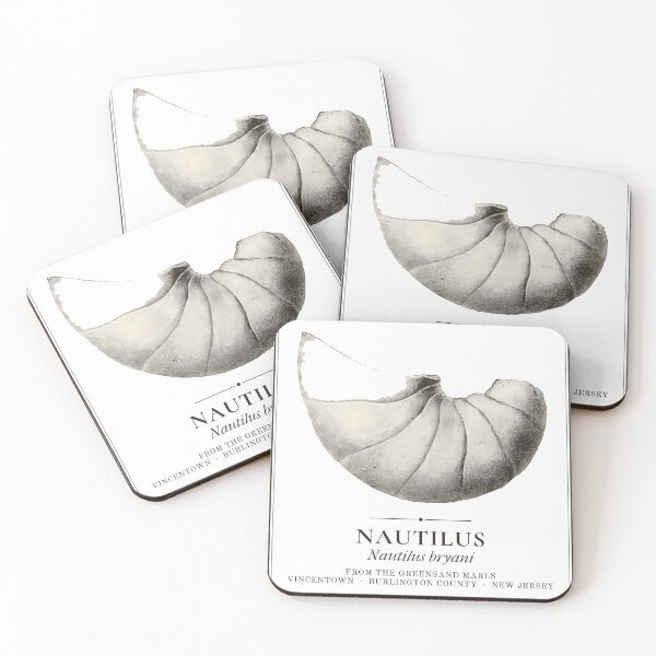 Item preview, Fossil Nautilus Vintage Specimen Label, New Jersey designed and sold by sustainableme.