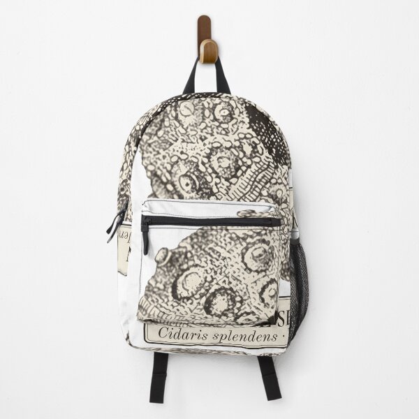 Item preview, Fossil Sea Urchin Cidaris, Vincentown New Jersey designed and sold by sustainableme.