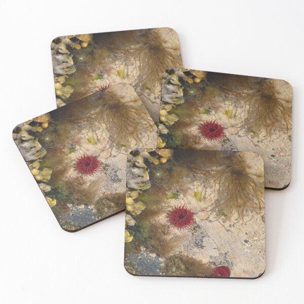 Item preview, Anemone designed and sold by Tibiabin Art.