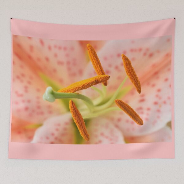 Item preview, Lilium  'Salmon Star'  Lily  Oriental hybrid  designed and sold by Chris Burrows.