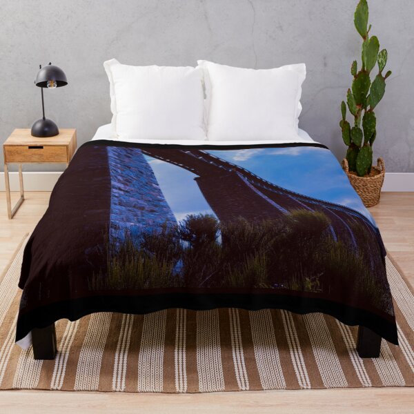 Item preview, looking up at findhorn viaduct (tomatin, scotland) (august 2026) designed and sold by photosbykel.