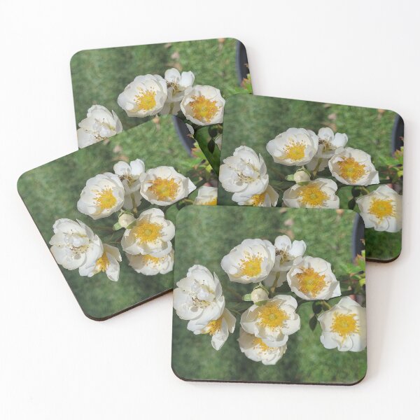 Item preview, Wild Rose designed and sold by Mourne Rouge.