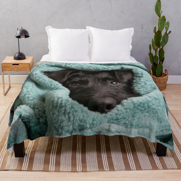 Item preview, Russian Black Terrier in Blanket 01 designed and sold by Elisabeth Lucas.