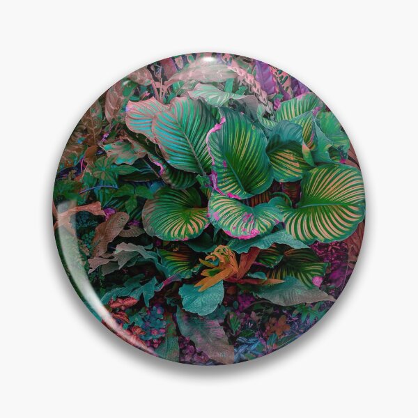 Item preview, beautiful colorful plants 2 designed and sold by trixieandkatya_again.