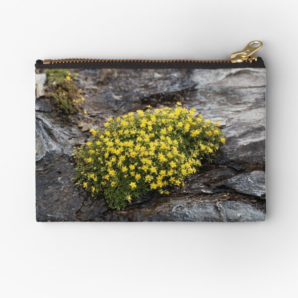 Flowers of musky saxifrage (Saxifraga moschata) Zipper Pouch