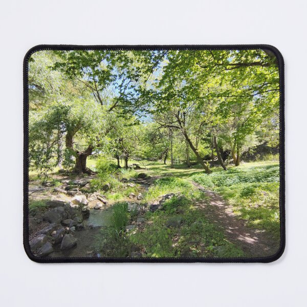 Item preview, Which Direction? designed and sold by SCTBUFFALOPHOTO.