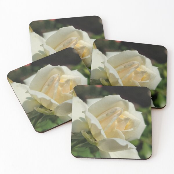 Item preview, Gathering Process designed and sold by SCTBUFFALOPHOTO.