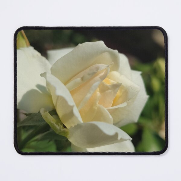 Item preview, Gathering Process designed and sold by SCTBUFFALOPHOTO.