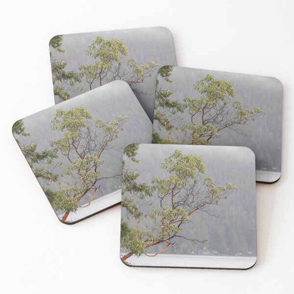 Item preview, Madrone in the Mist, Olympic Peninsula designed and sold by carsore.