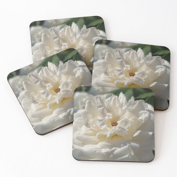 Item preview, Floral Pita designed and sold by SCTBUFFALOPHOTO.
