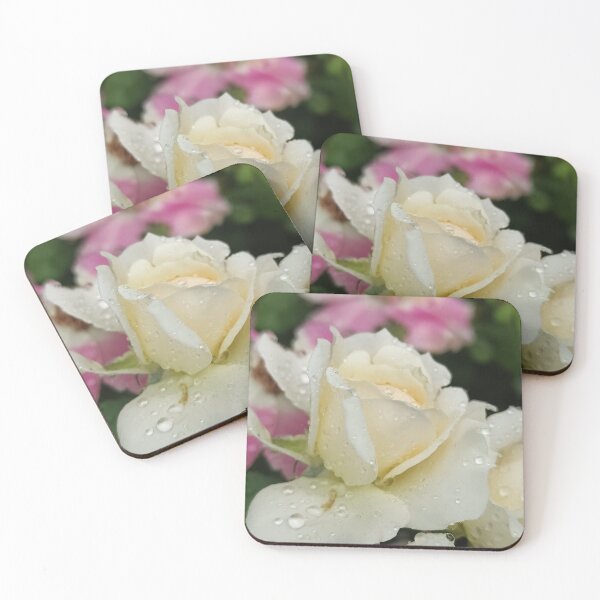Item preview, Resources designed and sold by SCTBUFFALOPHOTO.