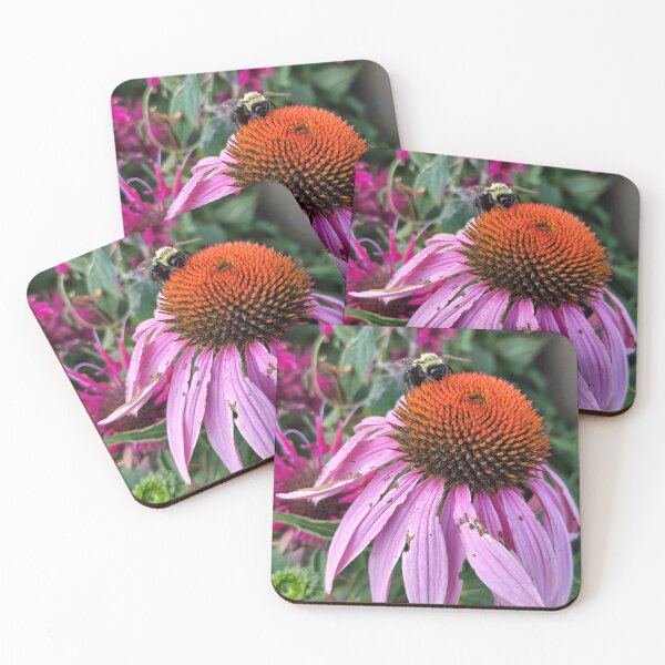 Item preview, Bee and Pink Coneflower designed and sold by SCTBUFFALOPHOTO.