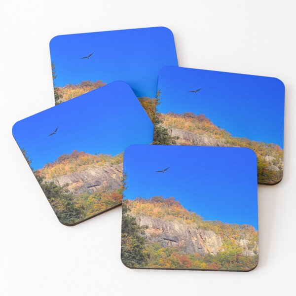 Item preview, NC Chimney Rock mountain top with soaring bird designed and sold by NC NatureVisions.
