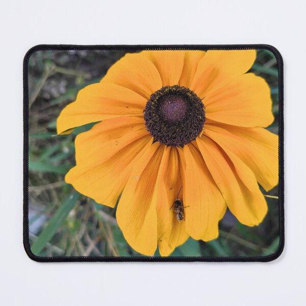 Item preview, Napping on a Saturday designed and sold by SCTBUFFALOPHOTO.