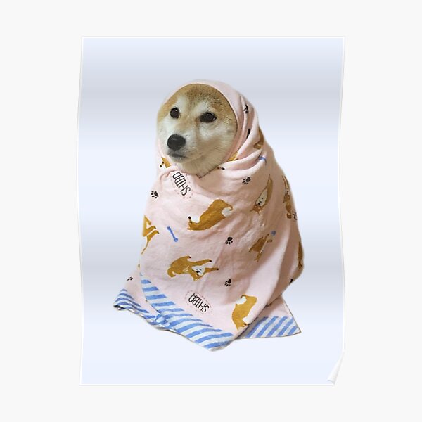 Cozy Shibe Poster