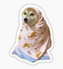 Pegatina Acogedor shibe