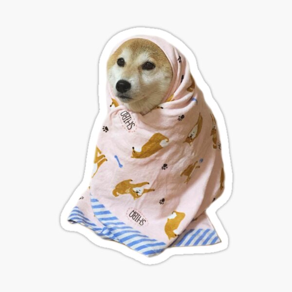 Item preview, Cozy Shibe designed and sold by Elisecv.