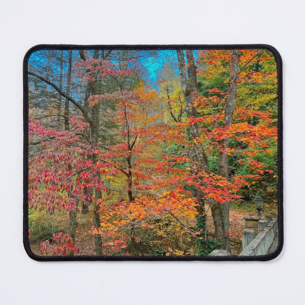 Item preview, Fenced in color Black Mountain NC designed and sold by NC NatureVisions.