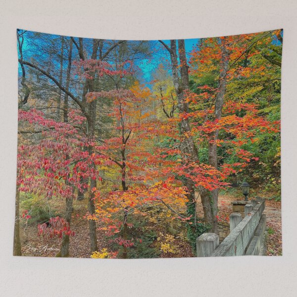 Item preview, Fenced in color Black Mountain NC designed and sold by NC NatureVisions.