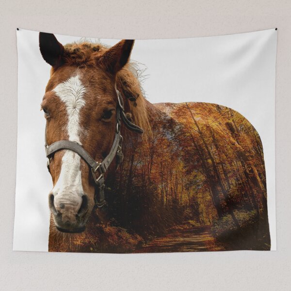 Item preview, Autumn Horse designed and sold by KoovsPhotos.