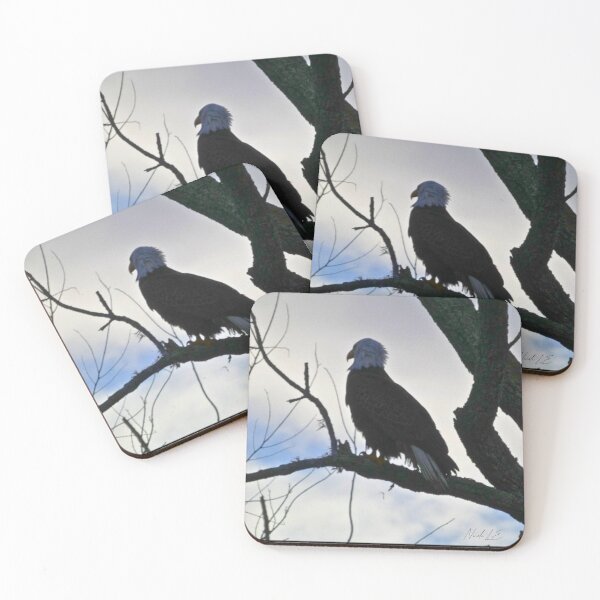 Item preview, Eagle designed and sold by Nicole13x.