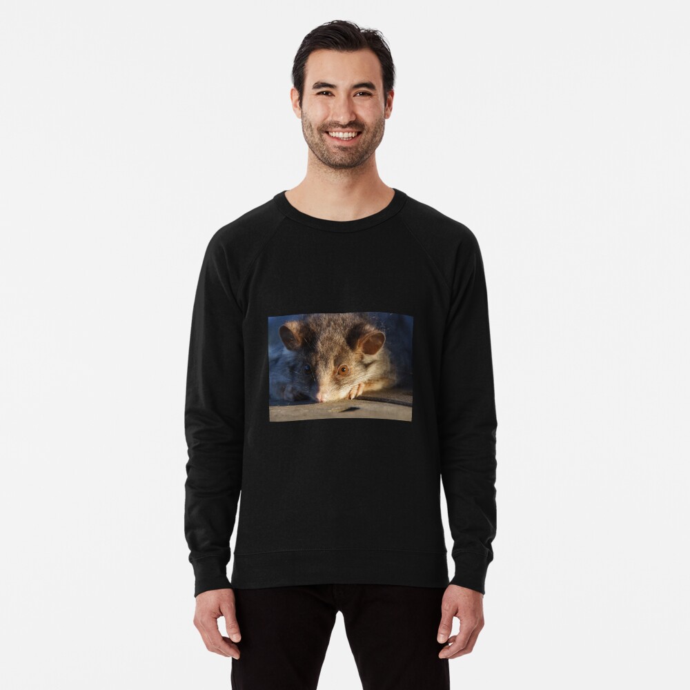 Item preview, Lightweight Sweatshirt designed and sold by MagpieSprings.