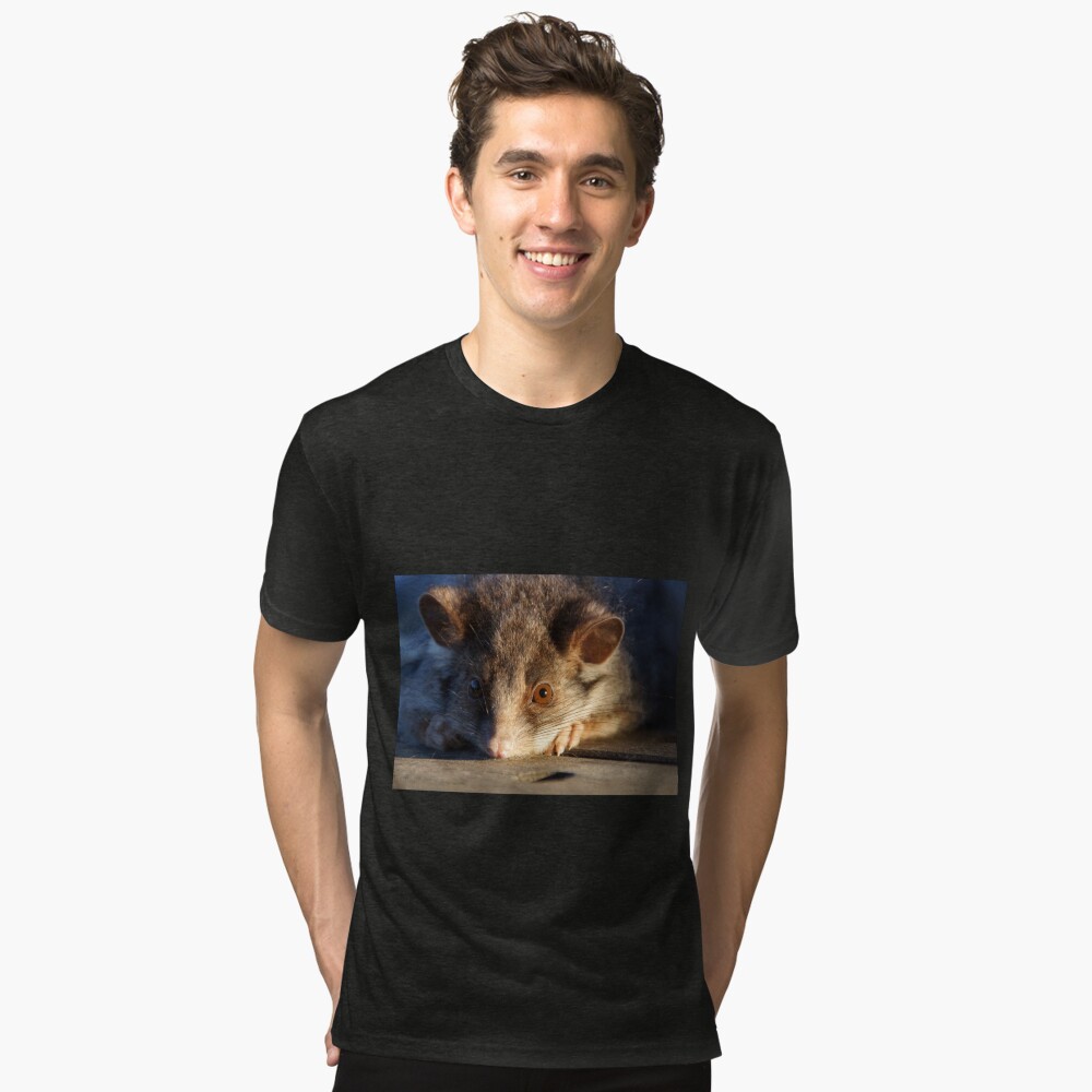 Item preview, Tri-blend T-Shirt designed and sold by MagpieSprings.