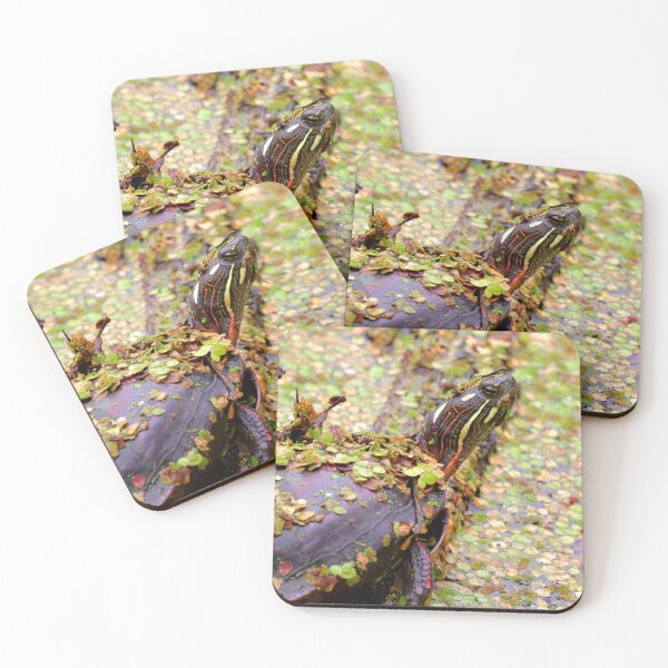 Item preview, Painted turtle designed and sold by Parks and X.