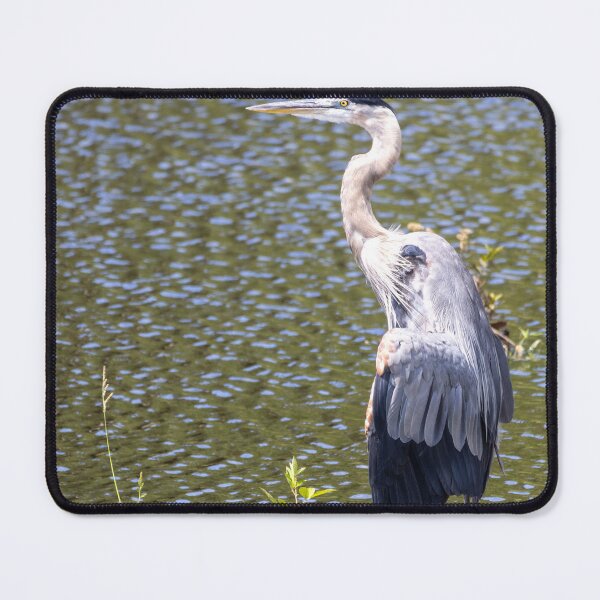 Item preview, Great Blue Heron designed and sold by carsore.