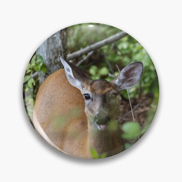 Item preview, White-tailed Deer designed and sold by carsore.
