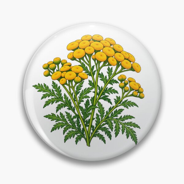 Item preview, Tansy Yellow Button Wildflower designed and sold by Myra365Art.