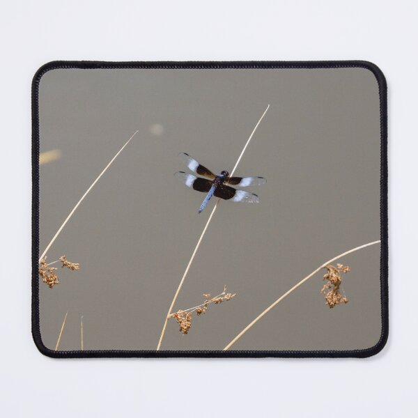 Item preview, Dragonfly designed and sold by carsore.